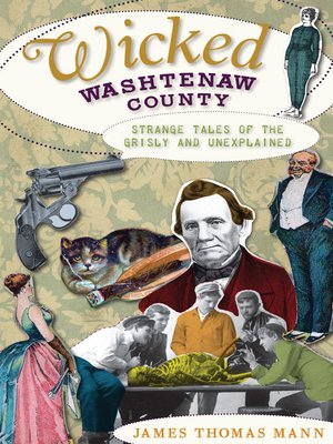 cover image of Wicked Washtenaw
